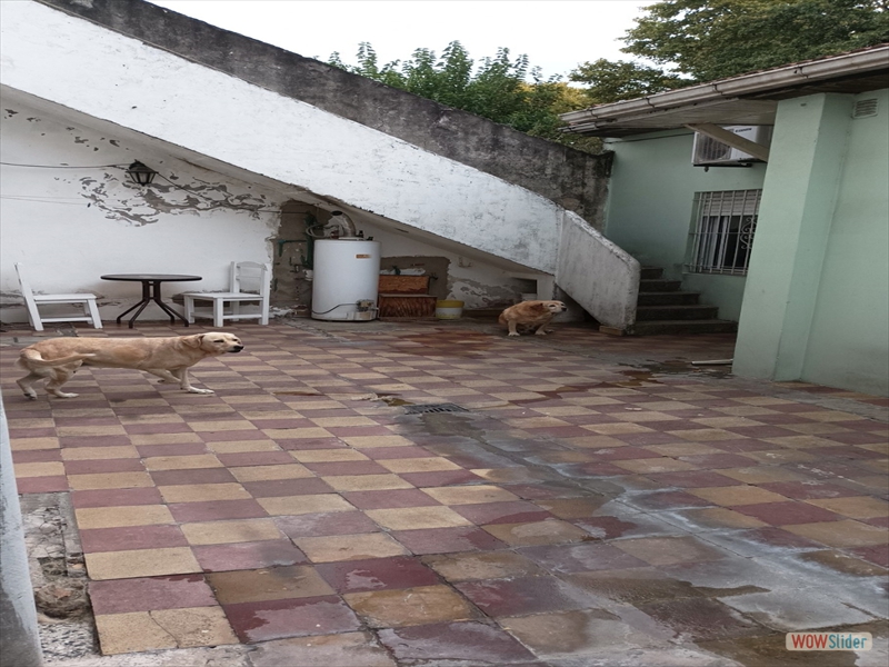 WhatsApp Image 2025-11-12 at 19.02.24 (1)