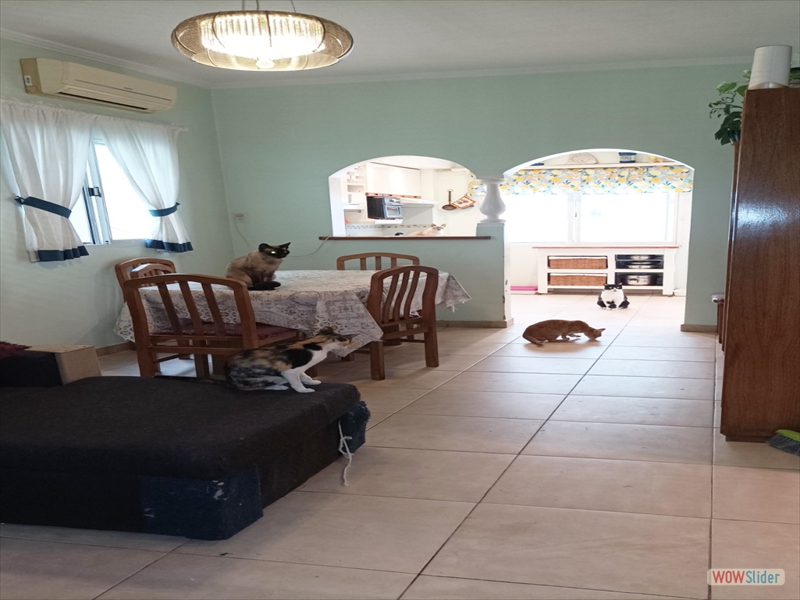 WhatsApp Image 2025-11-12 at 19.02.24 (7)